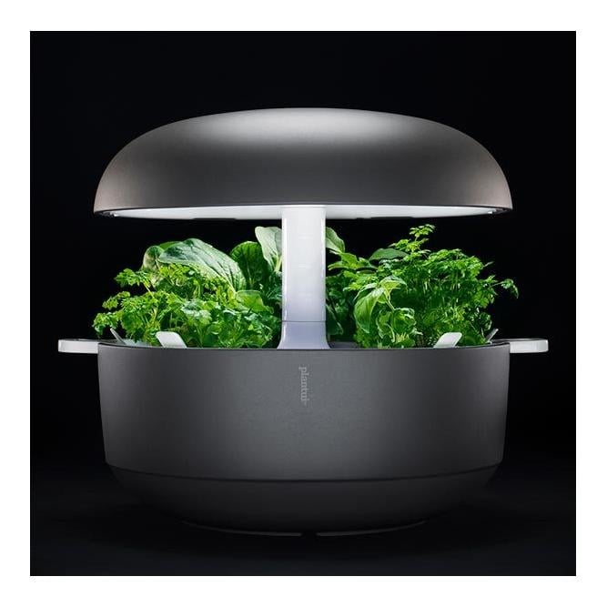 Image of Plantui Smart Garden 6 - grau bei Hauptner Jagd