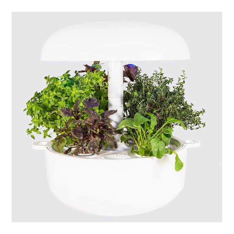 Image of Plantui Smart Garden 6 - Starter Set mit Kräuter Kapseln - Weiss - bei Hauptner Jagd