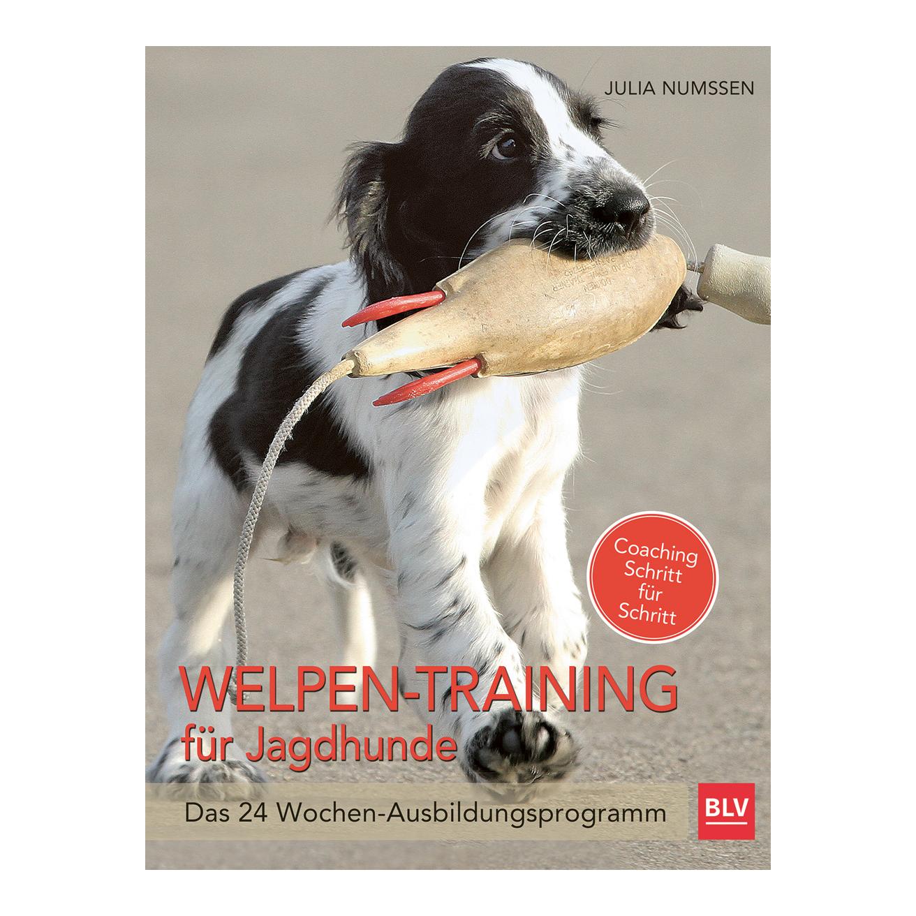Image of BLV Welpen-Training für Jagdhunde bei Hauptner Jagd