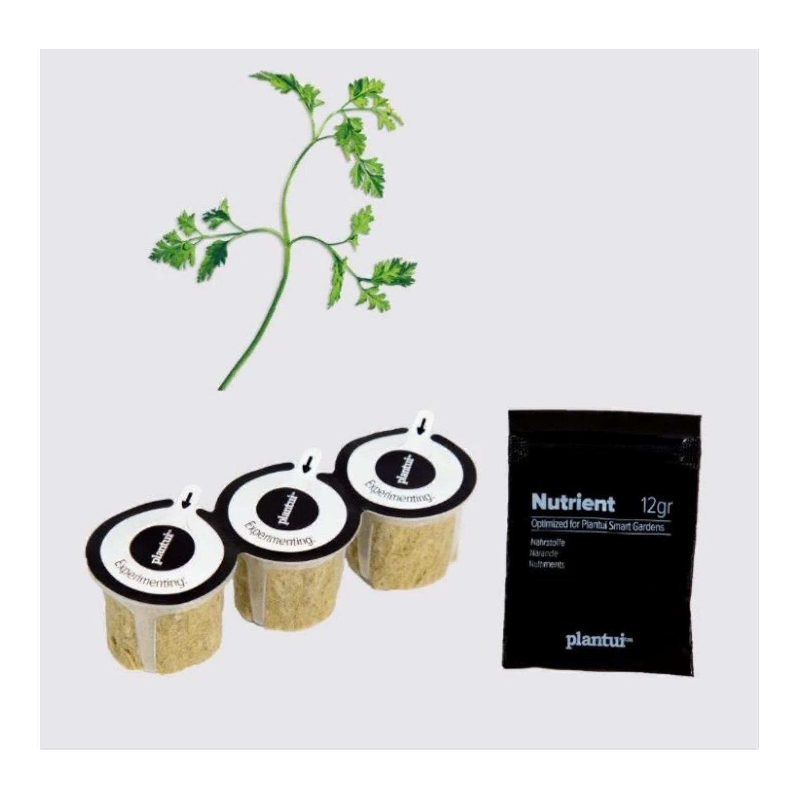 Image of Plantui Kerbel Kapsel Smart Garden bei Hauptner Jagd