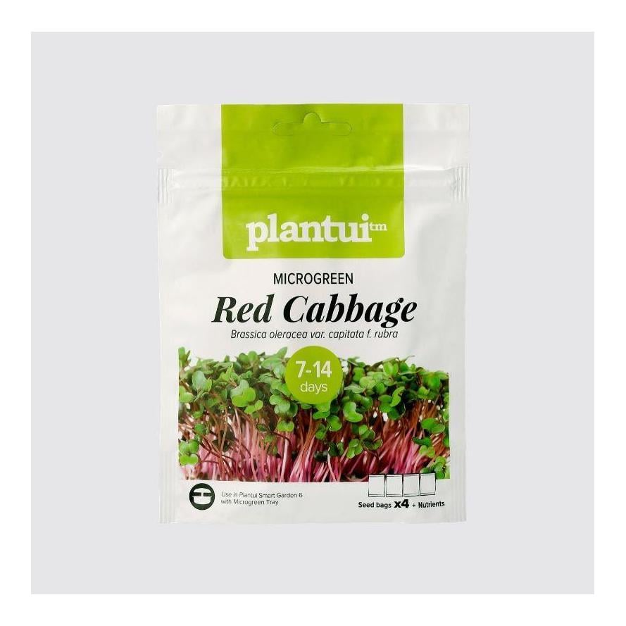 Image of Plantui Rotkohl Salat Microgreens Samen bei Hauptner Jagd