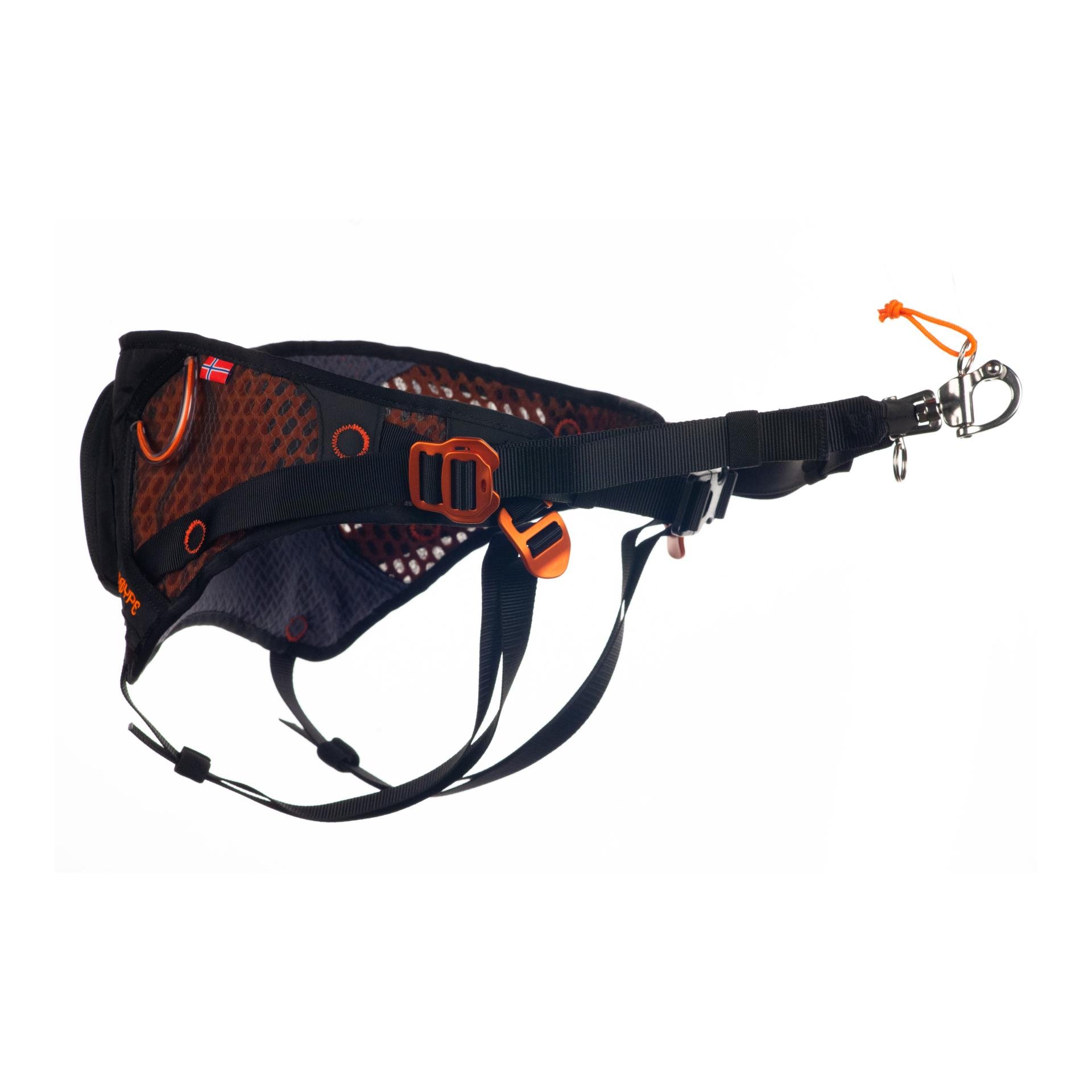 Image of Non-stop Dogwear Løype Belt - Schwarz - bei Hauptner Jagd