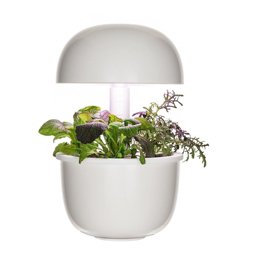 Image of Plantui Smart Garden 3e - Weiss - bei Hauptner Jagd