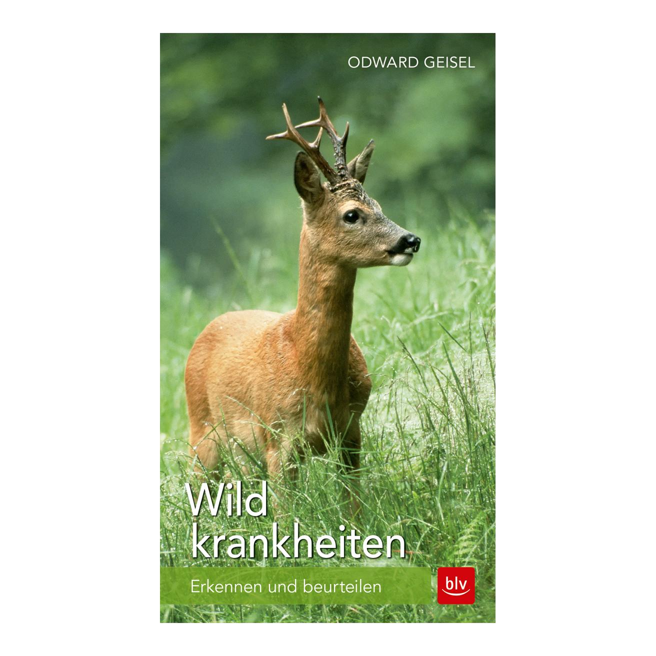 Image of BLV Wildkrankheiten - Erkennen und beurteilen bei Hauptner Jagd