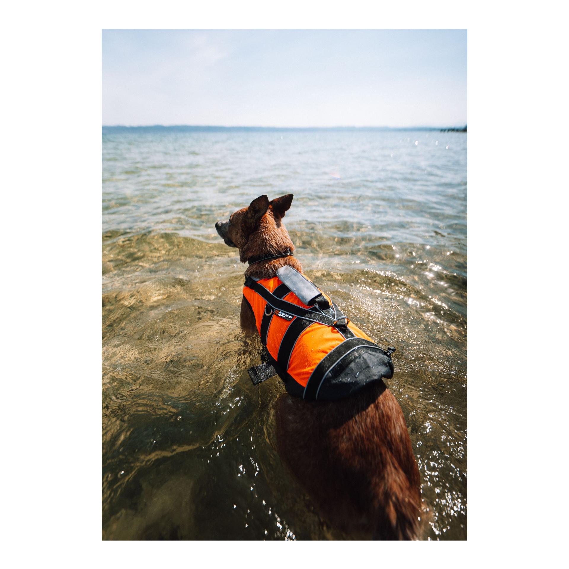 Nonstop Dogwear Safe Life Jacket 2.0 Hundeschwimmweste orange
